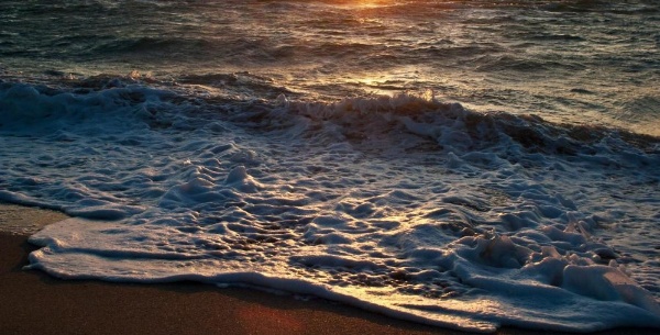 Leslie Hotel image 11